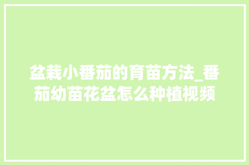 盆栽小番茄的育苗方法_番茄幼苗花盆怎么种植视频 盆栽小番茄的育苗方法_番茄幼苗花盆怎么种植视频 植物种类