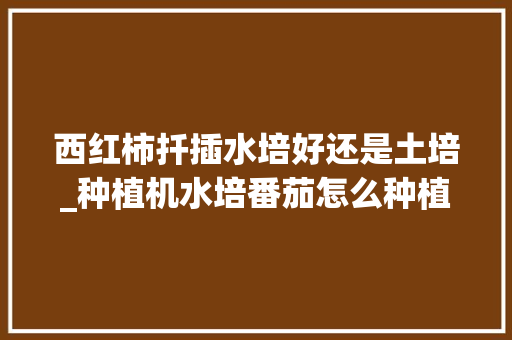 西红柿扦插水培好还是土培_种植机水培番茄怎么种植的