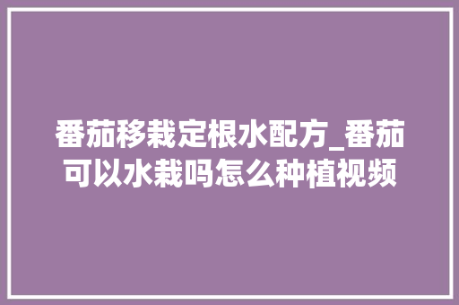 番茄移栽定根水配方_番茄可以水栽吗怎么种植视频