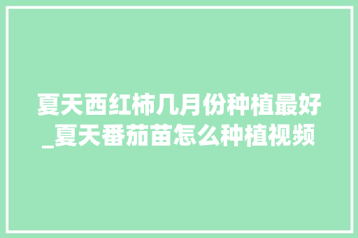 夏天西红柿几月份种植最好_夏天番茄苗怎么种植视频