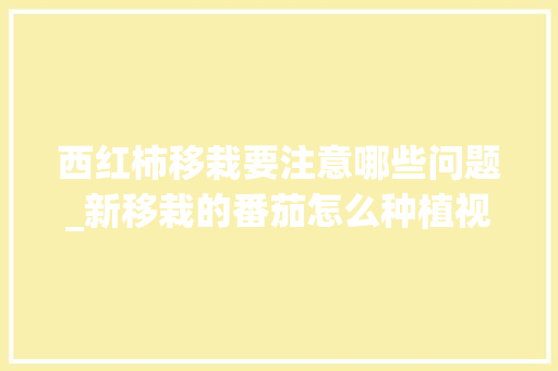 西红柿移栽要注意哪些问题_新移栽的番茄怎么种植视频