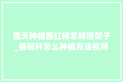 露天种植西红柿怎样搭架子_番茄杆怎么种植方法视频 露天种植西红柿怎样搭架子_番茄杆怎么种植方法视频 番茄病虫害防治