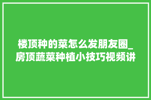 楼顶种的菜怎么发朋友圈_房顶蔬菜种植小技巧视频讲解