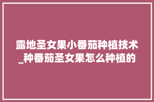 露地圣女果小番茄种植技术_种番茄圣女果怎么种植的 露地圣女果小番茄种植技术_种番茄圣女果怎么种植的 番茄种植技巧