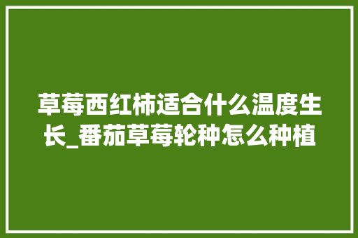 草莓西红柿适合什么温度生长_番茄草莓轮种怎么种植视频 草莓西红柿适合什么温度生长_番茄草莓轮种怎么种植视频 番茄种植技巧