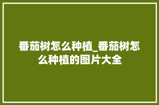 番茄树怎么种植_番茄树怎么种植的图片大全 番茄树怎么种植_番茄树怎么种植的图片大全 种植技巧
