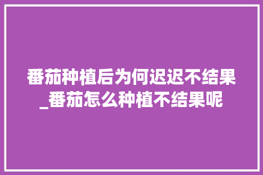 番茄种植后为何迟迟不结果_番茄怎么种植不结果呢 花朵知识 番茄种植后为何迟迟不结果_番茄怎么种植不结果呢 番茄种植后为何迟迟不结果_番茄怎么种植不结果呢 花朵知识