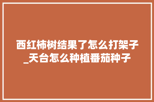 西红柿树结果了怎么打架子_天台怎么种植番茄种子 西红柿树结果了怎么打架子_天台怎么种植番茄种子 番茄病虫害防治