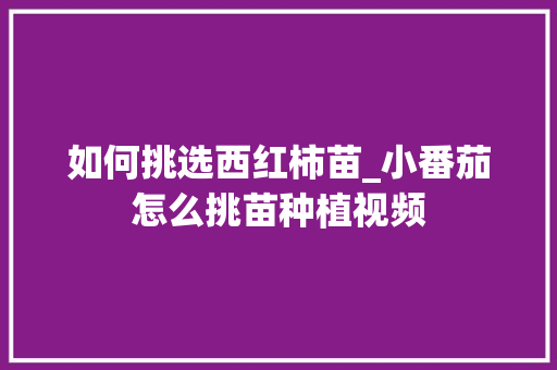 如何挑选西红柿苗_小番茄怎么挑苗种植视频 如何挑选西红柿苗_小番茄怎么挑苗种植视频 农业常识