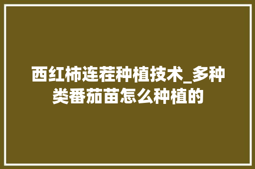 西红柿连茬种植技术_多种类番茄苗怎么种植的
