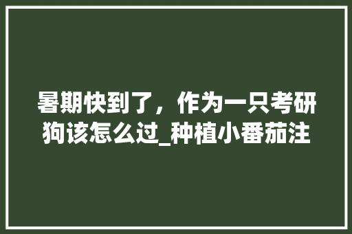 暑期快到了，作为一只考研狗该怎么过_种植小番茄注意事项 暑期快到了，作为一只考研狗该怎么过_种植小番茄注意事项 农业常识