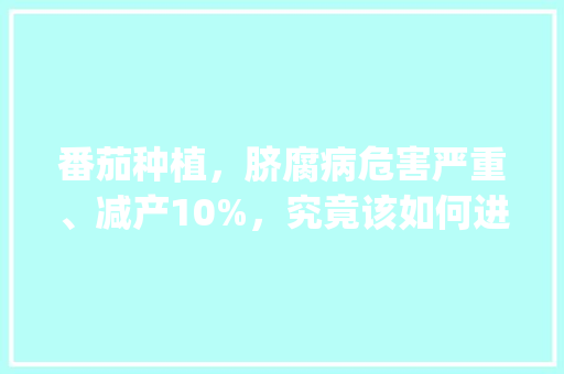 番茄种植，脐腐病危害严重、减产10%，究竟该如何进行防治呢_番茄种植盐怎么防治病虫害 番茄种植，脐腐病危害严重、减产10%，究竟该如何进行防治呢_番茄种植盐怎么防治病虫害 土壤施肥