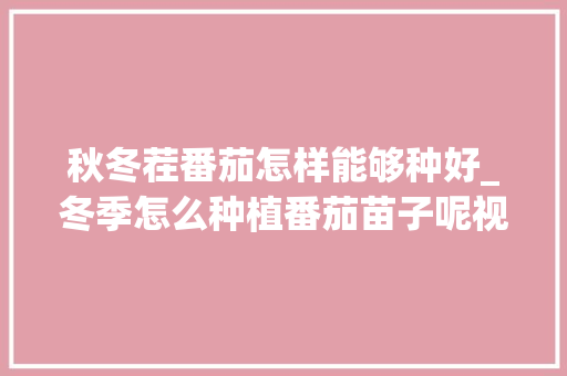 秋冬茬番茄怎样能够种好_冬季怎么种植番茄苗子呢视频 秋冬茬番茄怎样能够种好_冬季怎么种植番茄苗子呢视频 番茄种植技巧
