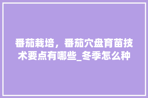 番茄栽培，番茄穴盘育苗技术要点有哪些_冬季怎么种植番茄种子呢