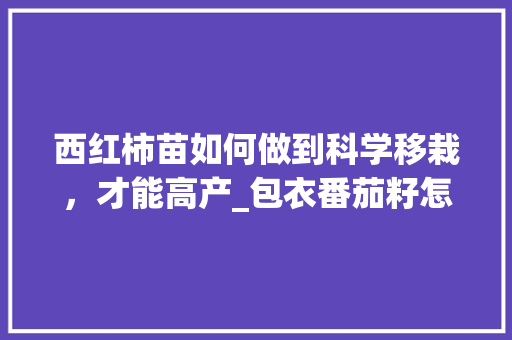 西红柿苗如何做到科学移栽，才能高产_包衣番茄籽怎么种植视频 西红柿苗如何做到科学移栽，才能高产_包衣番茄籽怎么种植视频 植物种类