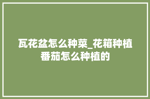 瓦花盆怎么种菜_花箱种植番茄怎么种植的 瓦花盆怎么种菜_花箱种植番茄怎么种植的 土壤施肥
