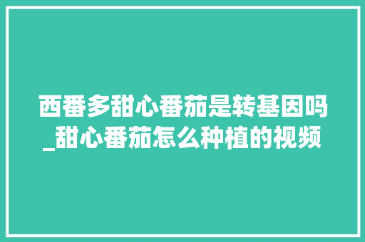 西番多甜心番茄是转基因吗_甜心番茄怎么种植的视频