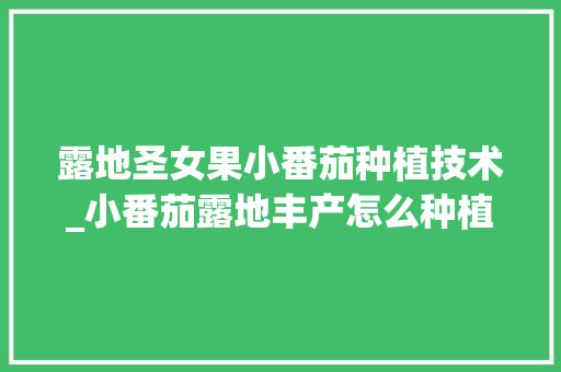 露地圣女果小番茄种植技术_小番茄露地丰产怎么种植视频