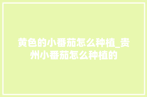 黄色的小番茄怎么种植_贵州小番茄怎么种植的 黄色的小番茄怎么种植_贵州小番茄怎么种植的 植物种类
