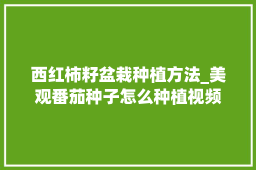 西红柿籽盆栽种植方法_美观番茄种子怎么种植视频 西红柿籽盆栽种植方法_美观番茄种子怎么种植视频 番茄种植技巧