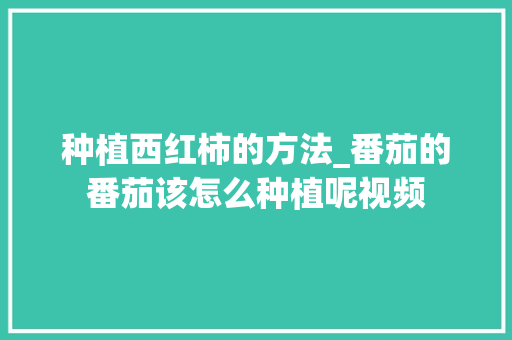 种植西红柿的方法_番茄的番茄该怎么种植呢视频 种植西红柿的方法_番茄的番茄该怎么种植呢视频 种植技巧