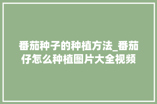 番茄种子的种植方法_番茄仔怎么种植图片大全视频 番茄种子的种植方法_番茄仔怎么种植图片大全视频 植物种类