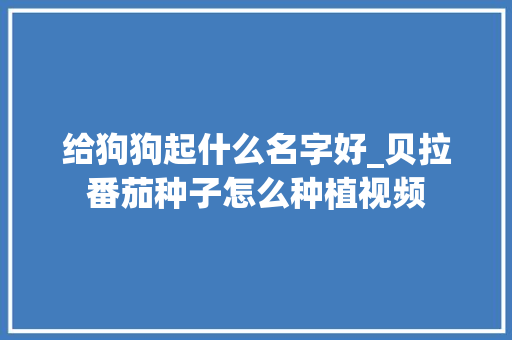 给狗狗起什么名字好_贝拉番茄种子怎么种植视频 给狗狗起什么名字好_贝拉番茄种子怎么种植视频 农业常识