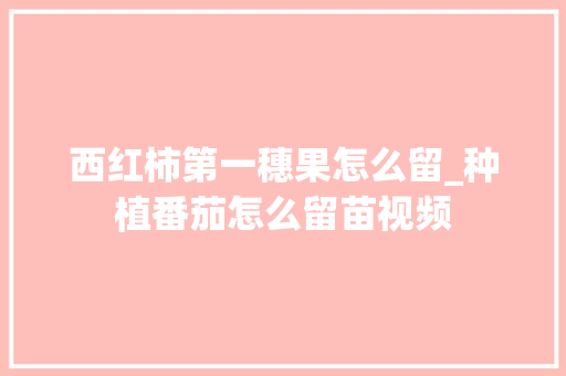 西红柿第一穗果怎么留_种植番茄怎么留苗视频 西红柿第一穗果怎么留_种植番茄怎么留苗视频 番茄种植技巧