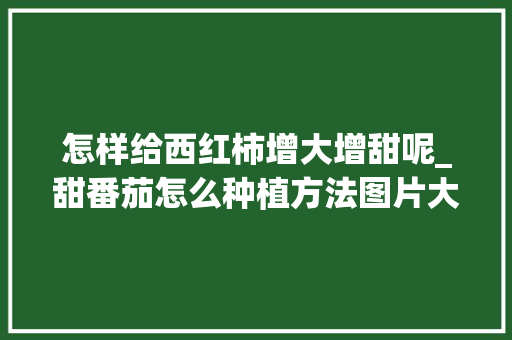 怎样给西红柿增大增甜呢_甜番茄怎么种植方法图片大全 怎样给西红柿增大增甜呢_甜番茄怎么种植方法图片大全 种植技巧
