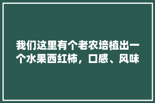 我们这里有个老农培植出一个水果西红柿，口感、风味特佳，如何把它做成一个项目呢_番茄种植怎么销售出去 我们这里有个老农培植出一个水果西红柿，口感、风味特佳，如何把它做成一个项目呢_番茄种植怎么销售出去 农业常识