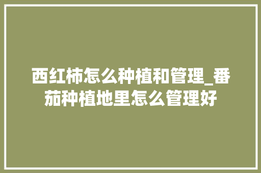 西红柿怎么种植和管理_番茄种植地里怎么管理好 西红柿怎么种植和管理_番茄种植地里怎么管理好 土壤施肥
