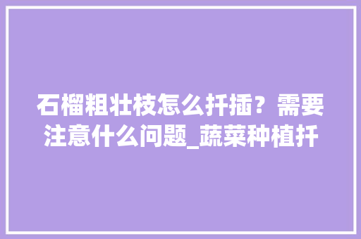 石榴粗壮枝怎么扦插？需要注意什么问题_蔬菜种植扦插技巧视频教程 石榴粗壮枝怎么扦插？需要注意什么问题_蔬菜种植扦插技巧视频教程 番茄种植技巧