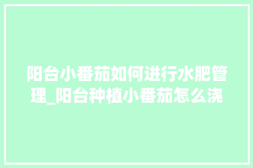 阳台小番茄如何进行水肥管理_阳台种植小番茄怎么浇水视频 植物种类 阳台小番茄如何进行水肥管理_阳台种植小番茄怎么浇水视频 阳台小番茄如何进行水肥管理_阳台种植小番茄怎么浇水视频 植物种类