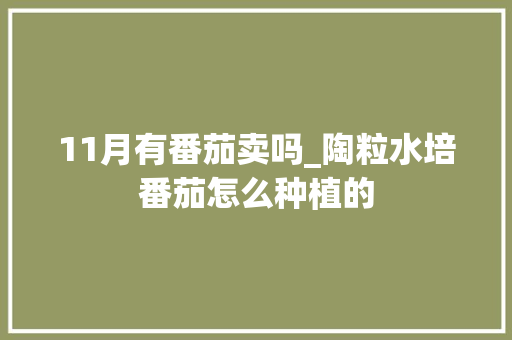 11月有番茄卖吗_陶粒水培番茄怎么种植的 11月有番茄卖吗_陶粒水培番茄怎么种植的 花朵知识