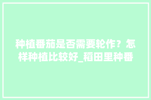 种植番茄是否需要轮作？怎样种植比较好_稻田里种番茄怎么种植视频