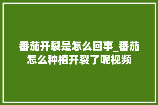 番茄开裂是怎么回事_番茄怎么种植开裂了呢视频 番茄开裂是怎么回事_番茄怎么种植开裂了呢视频 农业常识