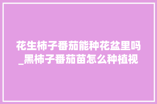 花生柿子番茄能种花盆里吗_黑柿子番茄苗怎么种植视频 花生柿子番茄能种花盆里吗_黑柿子番茄苗怎么种植视频 植物种类