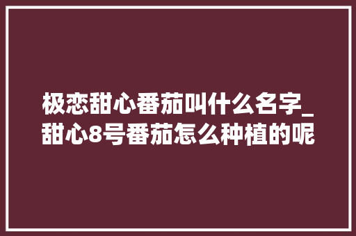 极恋甜心番茄叫什么名字_甜心8号番茄怎么种植的呢
