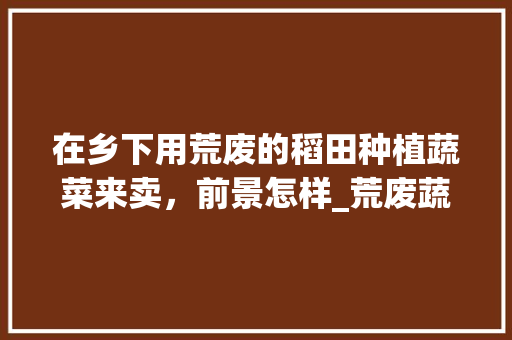 在乡下用荒废的稻田种植蔬菜来卖，前景怎样_荒废蔬菜种植技巧和方法 在乡下用荒废的稻田种植蔬菜来卖，前景怎样_荒废蔬菜种植技巧和方法 种植技巧