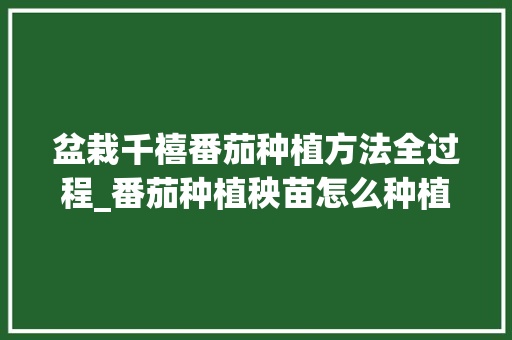 盆栽千禧番茄种植方法全过程_番茄种植秧苗怎么种植 盆栽千禧番茄种植方法全过程_番茄种植秧苗怎么种植 种植技巧