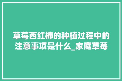 草莓西红柿的种植过程中的注意事项是什么_家庭草莓番茄怎么种植视频 草莓西红柿的种植过程中的注意事项是什么_家庭草莓番茄怎么种植视频 番茄病虫害防治