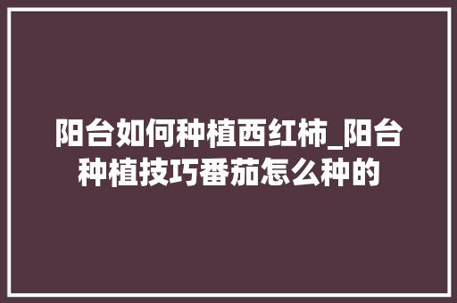 阳台如何种植西红柿_阳台种植技巧番茄怎么种的 阳台如何种植西红柿_阳台种植技巧番茄怎么种的 种植技巧