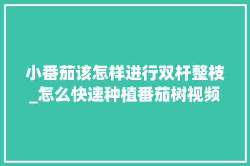 小番茄该怎样进行双杆整枝_怎么快速种植番茄树视频讲解 小番茄该怎样进行双杆整枝_怎么快速种植番茄树视频讲解 种植技巧