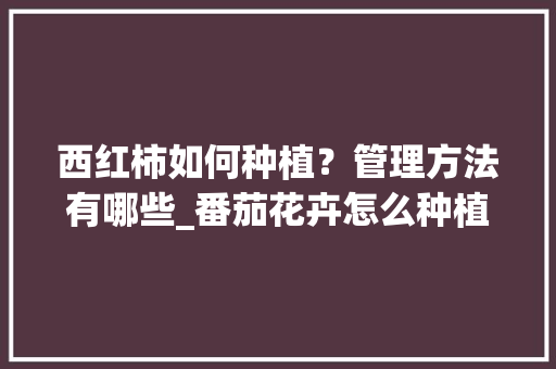 西红柿如何种植？管理方法有哪些_番茄花卉怎么种植视频 西红柿如何种植？管理方法有哪些_番茄花卉怎么种植视频 种植技巧