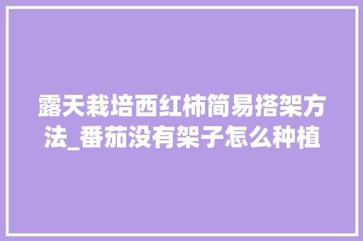 露天栽培西红柿简易搭架方法_番茄没有架子怎么种植视频 露天栽培西红柿简易搭架方法_番茄没有架子怎么种植视频 种植技巧