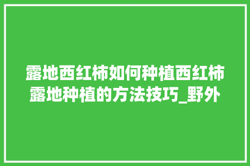 露地西红柿如何种植西红柿露地种植的方法技巧_野外番茄怎么种植的图片大全