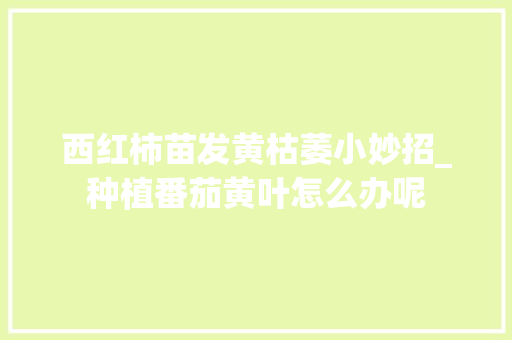 西红柿苗发黄枯萎小妙招_种植番茄黄叶怎么办呢