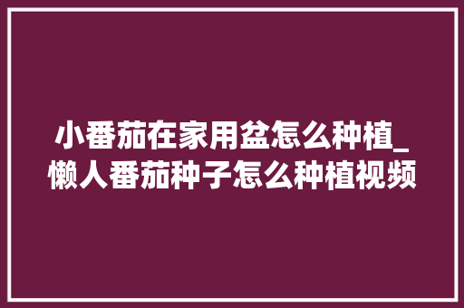 小番茄在家用盆怎么种植_懒人番茄种子怎么种植视频 小番茄在家用盆怎么种植_懒人番茄种子怎么种植视频 农业常识
