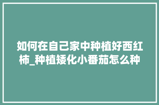 如何在自己家中种植好西红柿_种植矮化小番茄怎么种植的 如何在自己家中种植好西红柿_种植矮化小番茄怎么种植的 植物种类