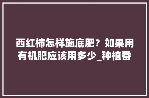 西红柿怎样施底肥？如果用有机肥应该用多少_种植番茄苗怎么施肥视频